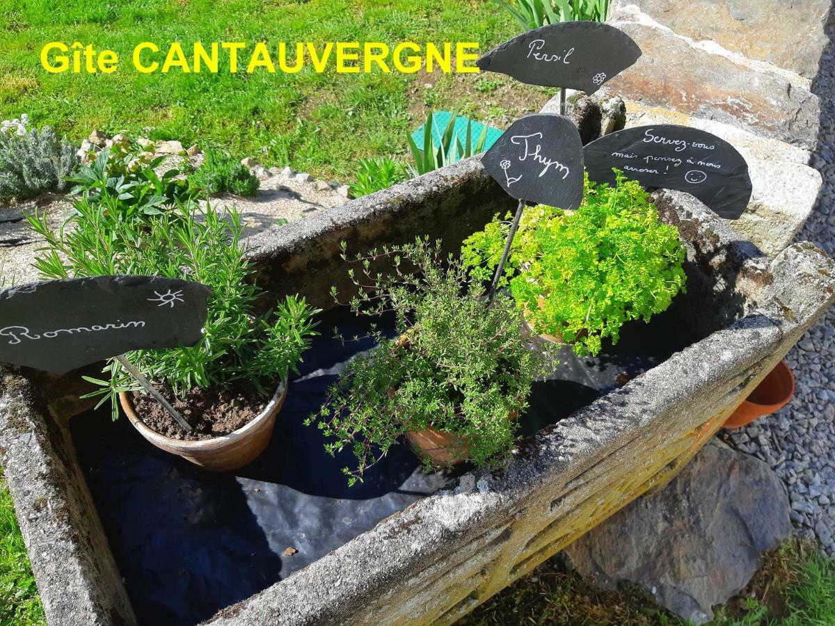 Gite Cantauvergne Vebret 外观 照片