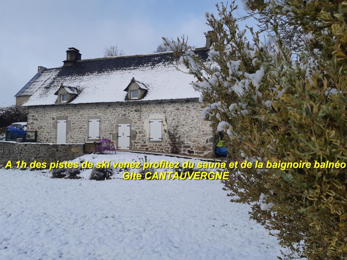Gite Cantauvergne Vebret 外观 照片